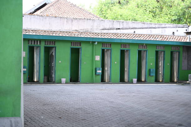 Best Local porta potty services  in Union City, MI